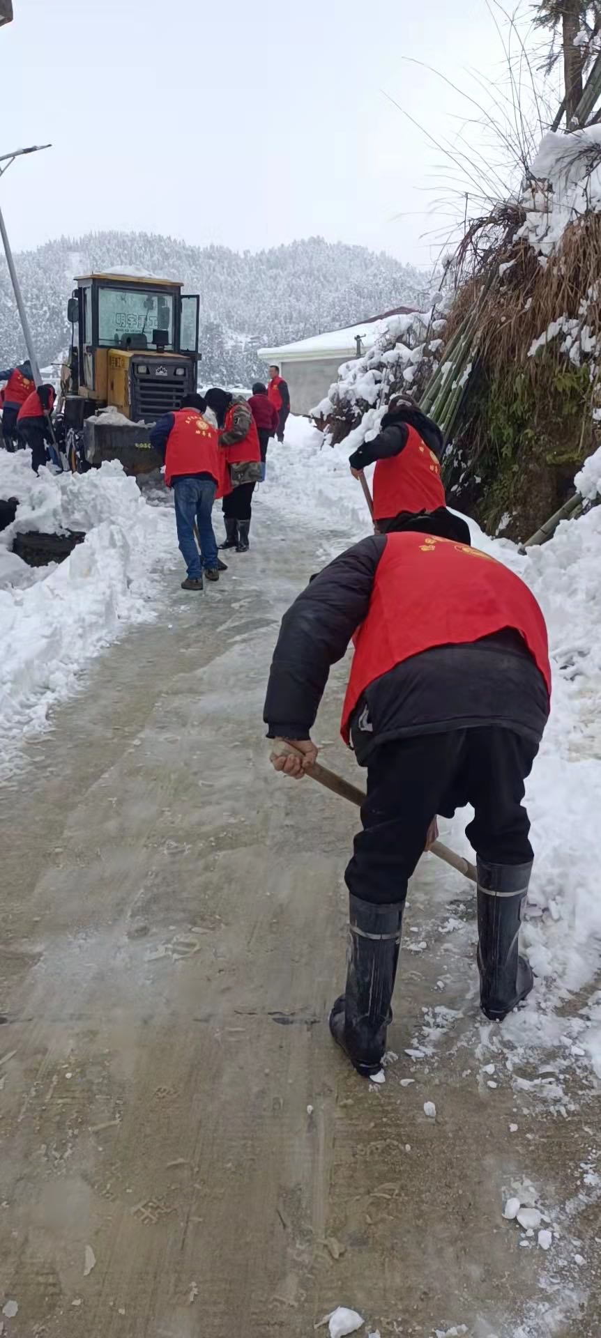 图片 5 图片 5.png