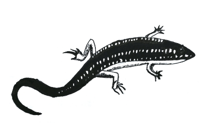 pagenumber_ebook=92,pagenumber_book=84