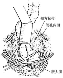 pagenumber_ebook=409,pagenumber_book=394