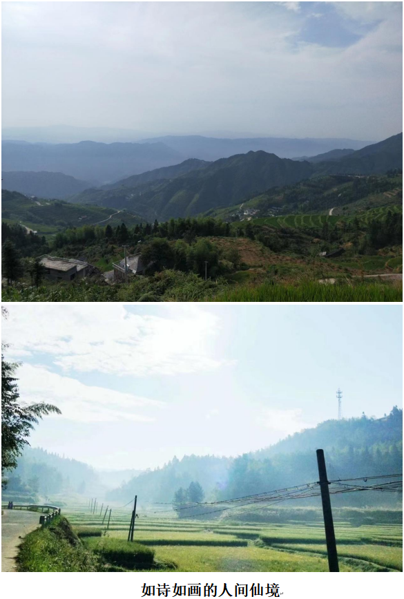 1732192760922 1732192760922.png