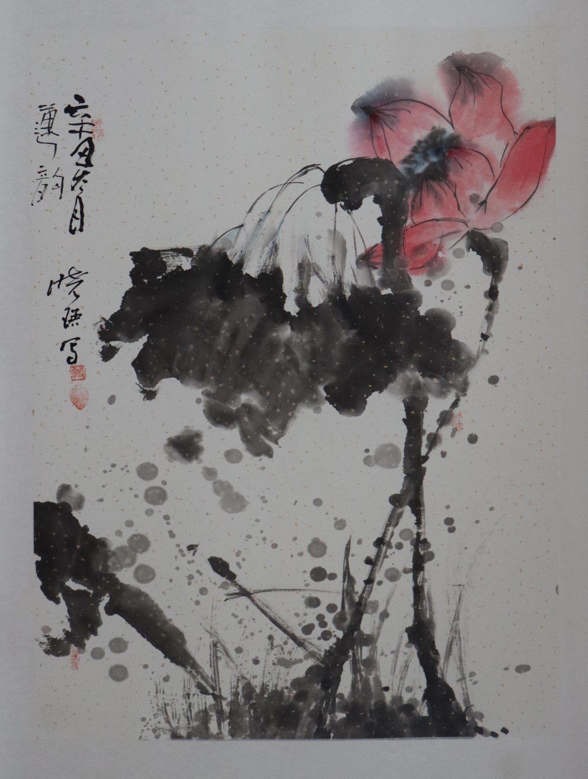 蒋晓瑛(贵州六枝) 蒋晓瑛(贵州六枝).jpg?v=1762795629393