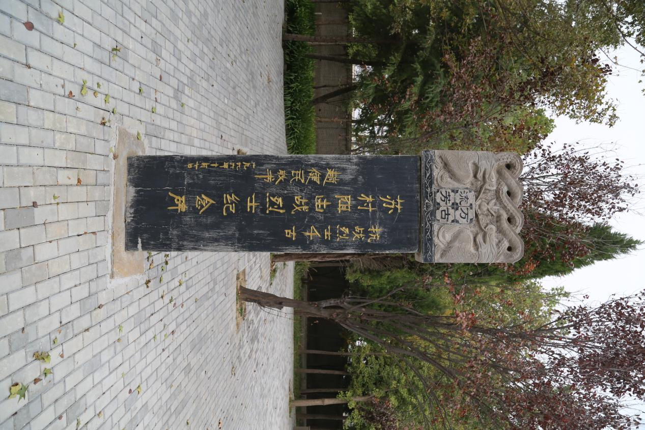 图片24