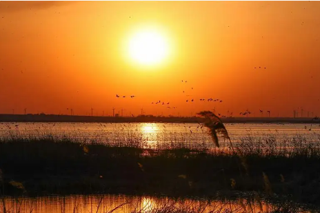 微信图片_20220909155505