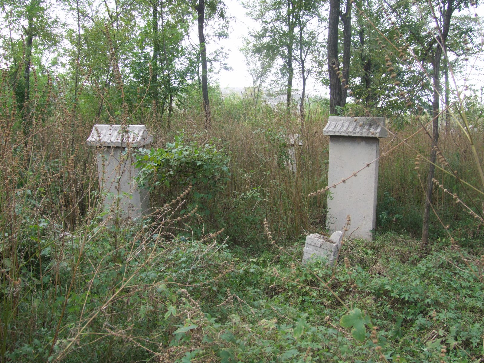 2丈八丘墓碑群 2丈八丘墓碑群.jpg