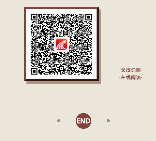 image.png?v=1763525824419