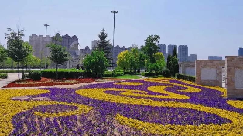 微信图片_20200710134619