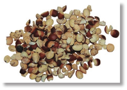 pagenumber_ebook=304,pagenumber_book=291