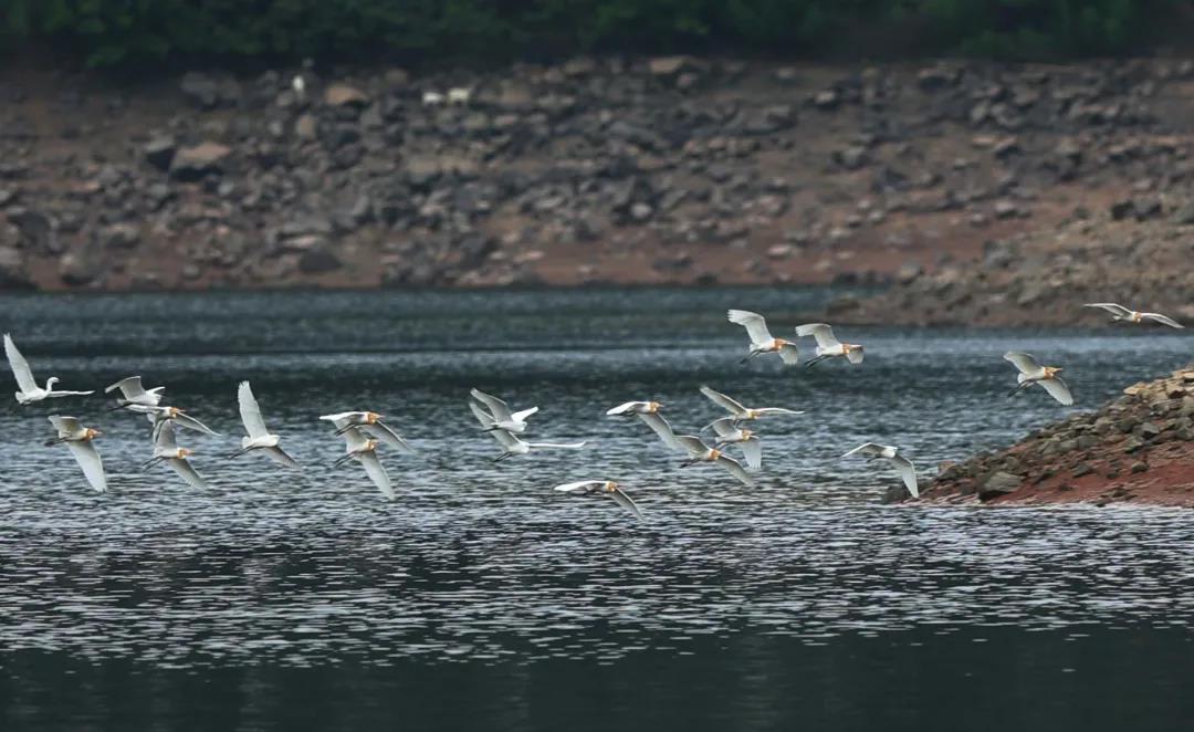 微信图片_20210601094953 微信图片_20210601094953.jpg