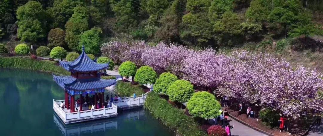 微信图片_20200712012633 微信图片_20200712012633.jpg