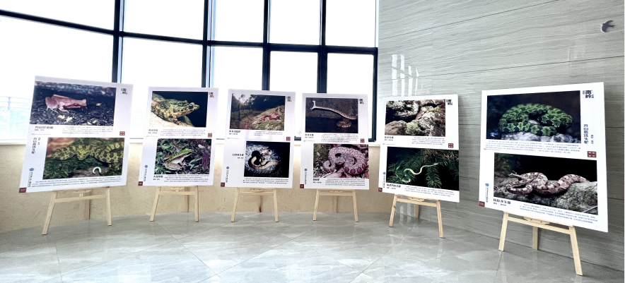 1680061552303 1680061552303