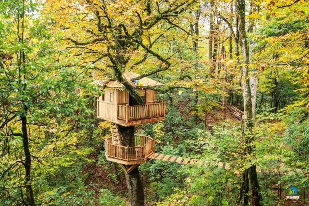 微信图片_20201204144537 微信图片_20201204144537.jpg