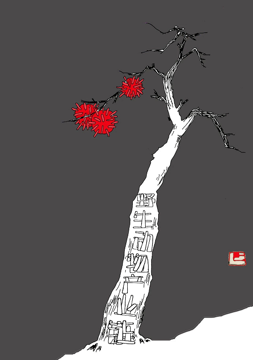 image image.png?v=1784605855649