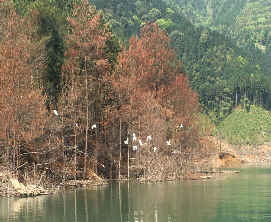 20180402172929_pvbpvmeyu5