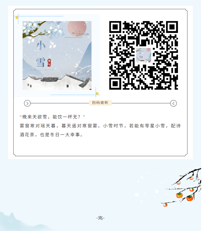 image.png?v=1766278508483