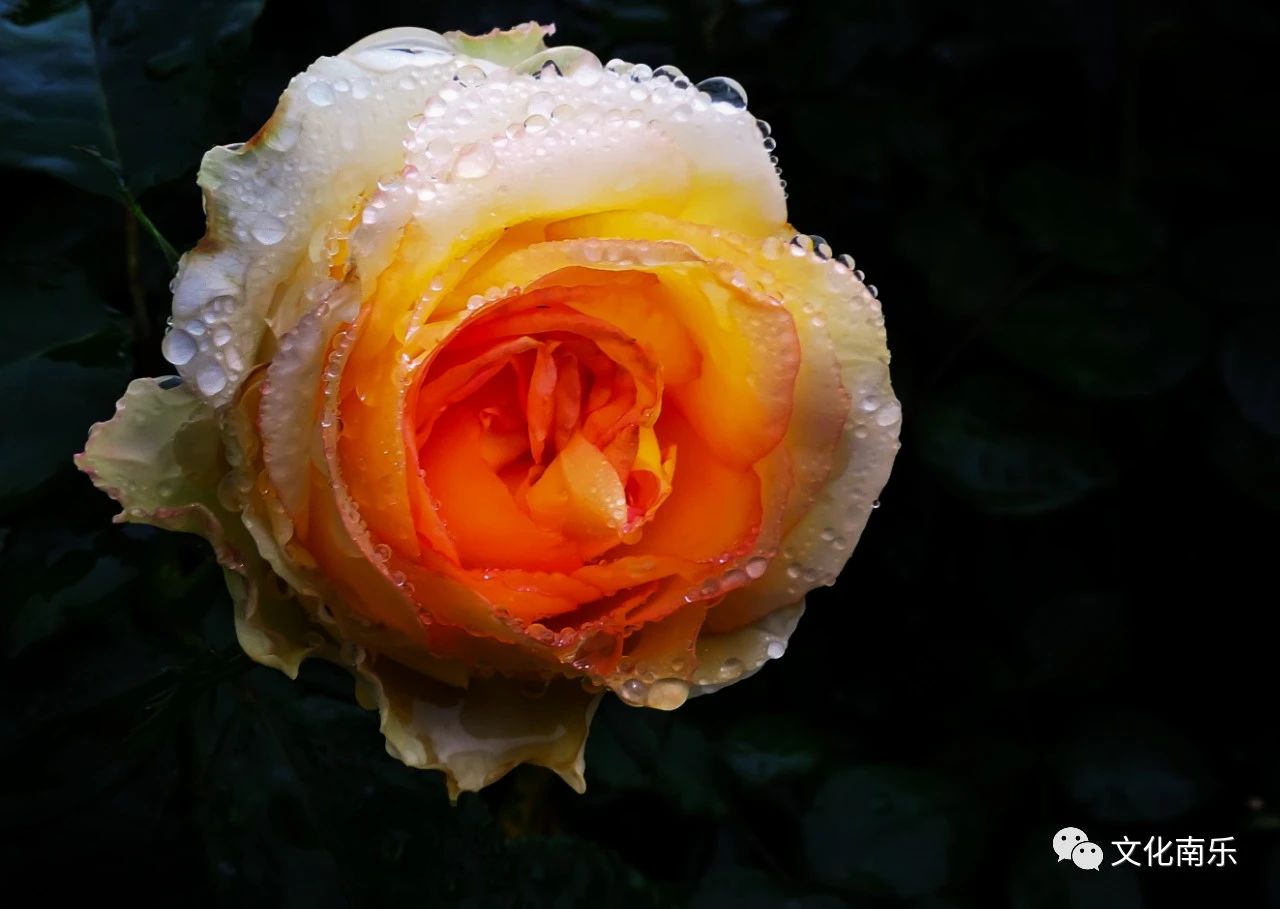 588a3538b7310705d930e0bb32fc1cc2 588a3538b7310705d930e0bb32fc1cc2.jpg