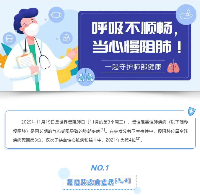 image.png?v=1766278511535