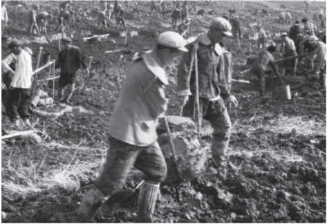 pagenumber_ebook=228,pagenumber_book=216