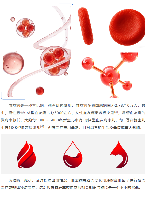 image.png?v=1777161396972