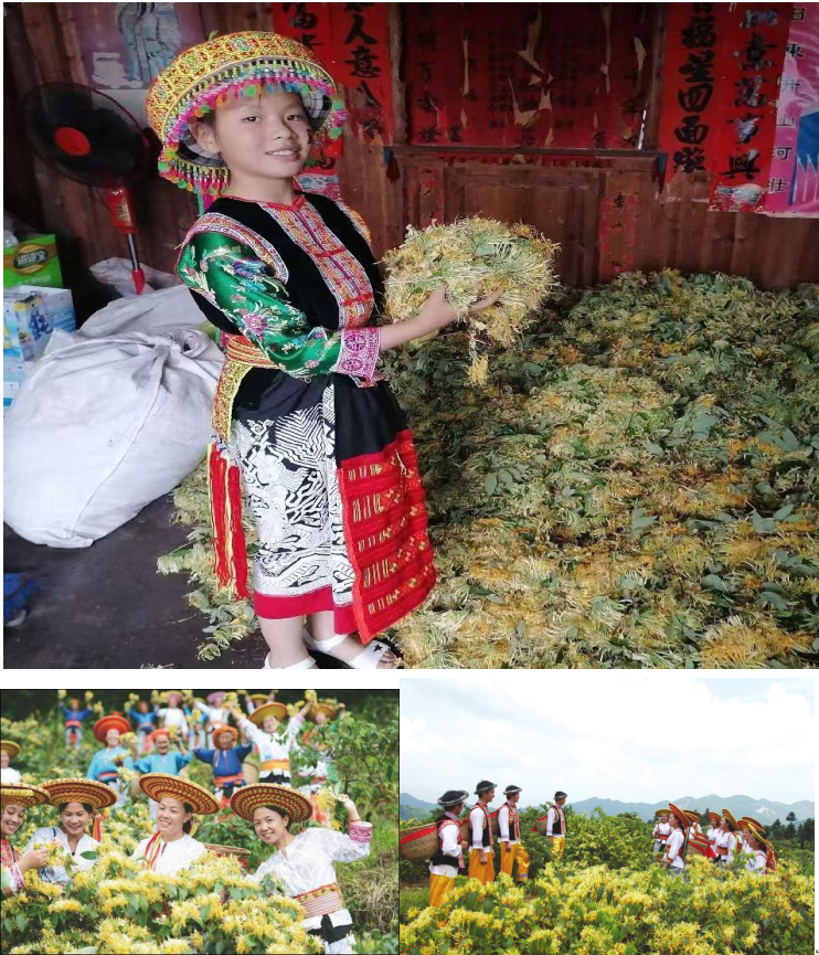 1732260126892 1732260126892.png