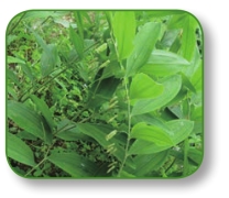 pagenumber_ebook=285,pagenumber_book=272