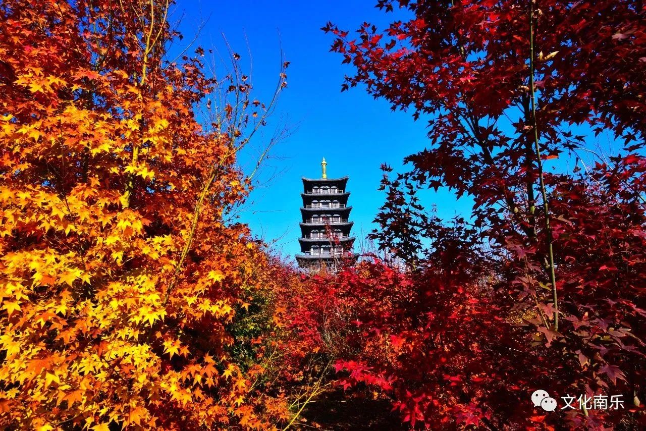 760cb5bf46e4b26f33ad98081274dedb 760cb5bf46e4b26f33ad98081274dedb.jpg