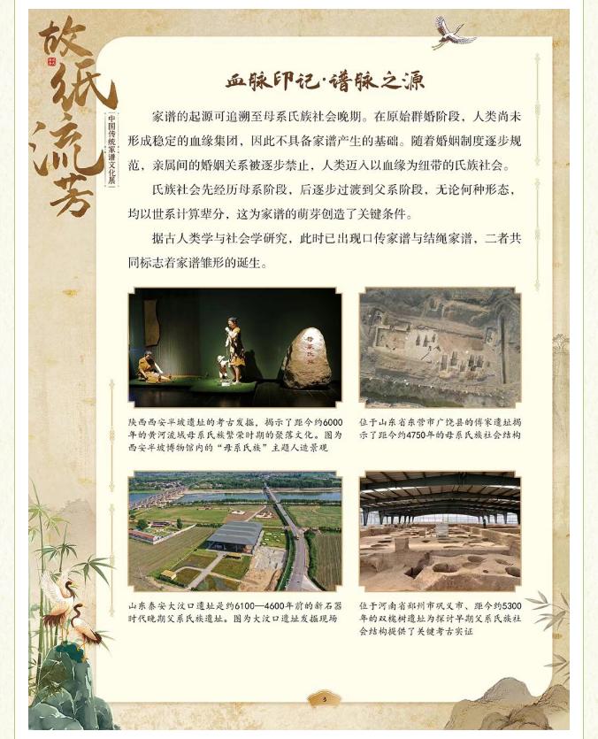 image.png?v=1775271545637