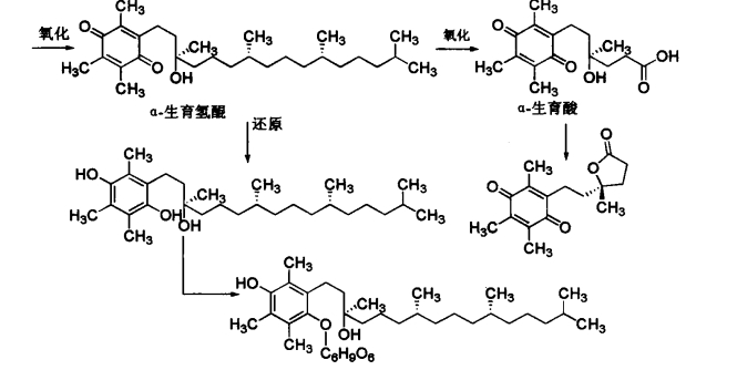 pagenumber_ebook=524,pagenumber_book=506