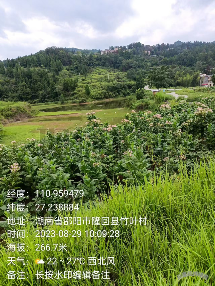 image.gif