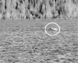 pagenumber_ebook=52,pagenumber_book=42