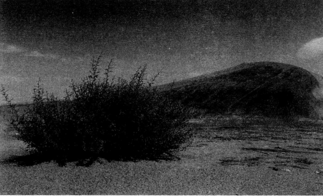 pagenumber_ebook=101,pagenumber_book=101