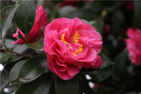 微信图片_20210228174804 微信图片_20210228174804.jpg