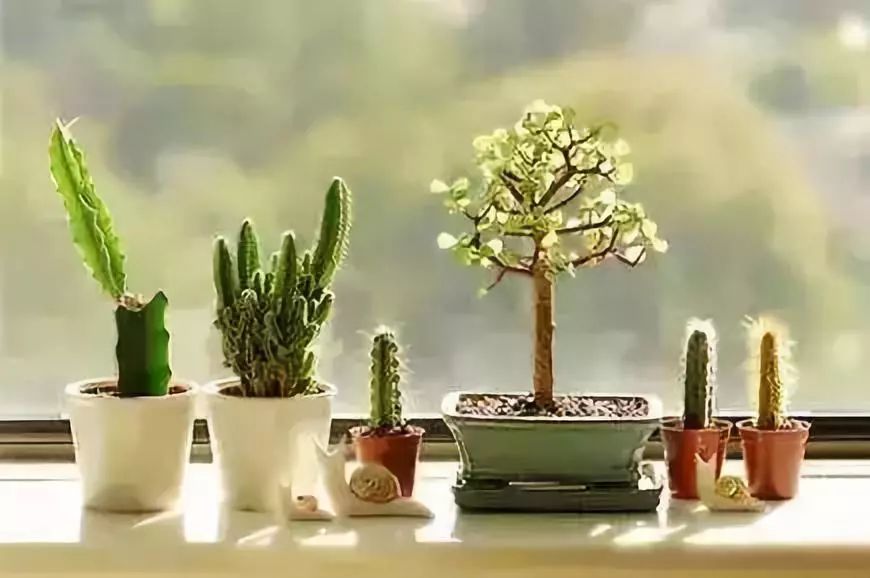 629f65f09bde1361f2878e98ba13715b 629f65f09bde1361f2878e98ba13715b.jpg