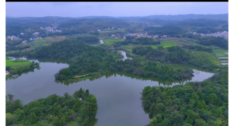 图片 1 图片 1.png