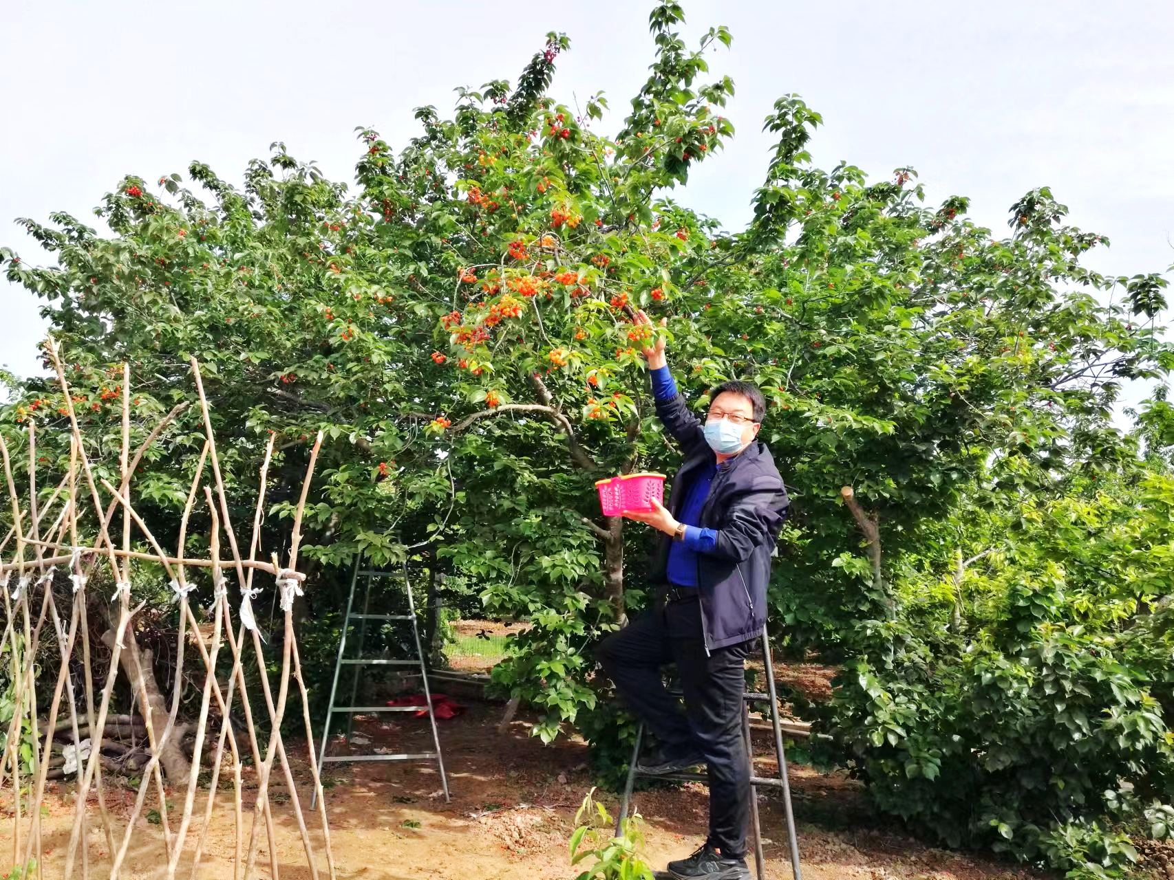 cc4a26512cdbcbbf4f0d9453492fcb8 cc4a26512cdbcbbf4f0d9453492fcb8.jpg