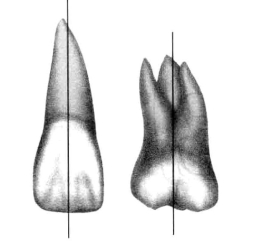 pagenumber_ebook=20,pagenumber_book=11
