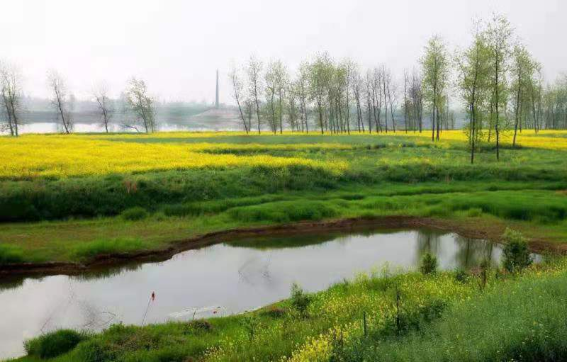 1 1.png?v=1765771983196