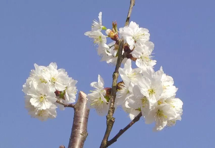 微信图片_20230310150515