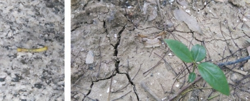 pagenumber_ebook=24,pagenumber_book=16