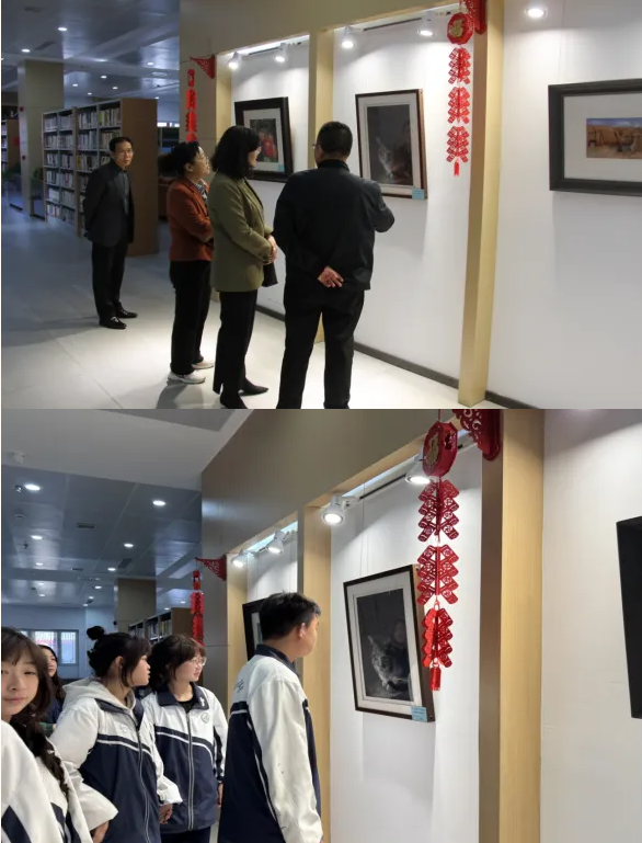 image image.png?v=1763543779209