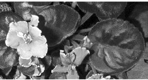 pagenumber_ebook=214,pagenumber_book=214