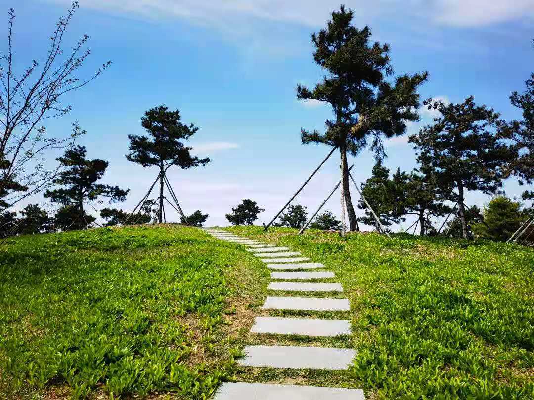 729ada2b6dd9261e86ac08ee412d3af 729ada2b6dd9261e86ac08ee412d3af.jpg