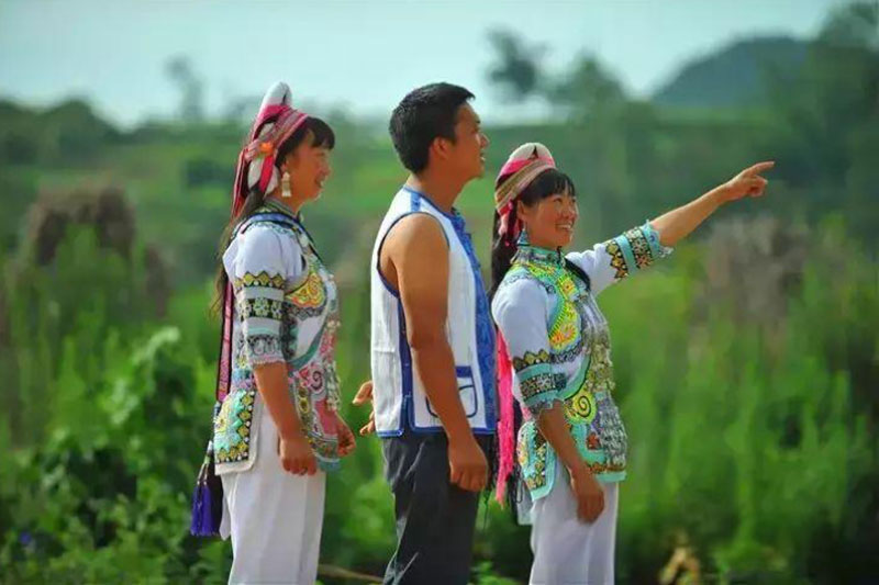 小白彝 小白彝.jpg