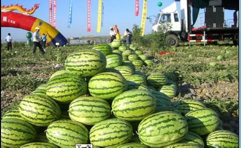 20170728083939_p9f40plct1.jpg?v=1751535515929