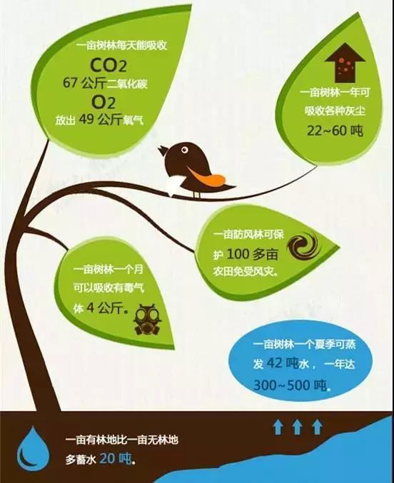 图片8.png?v=1748222091309