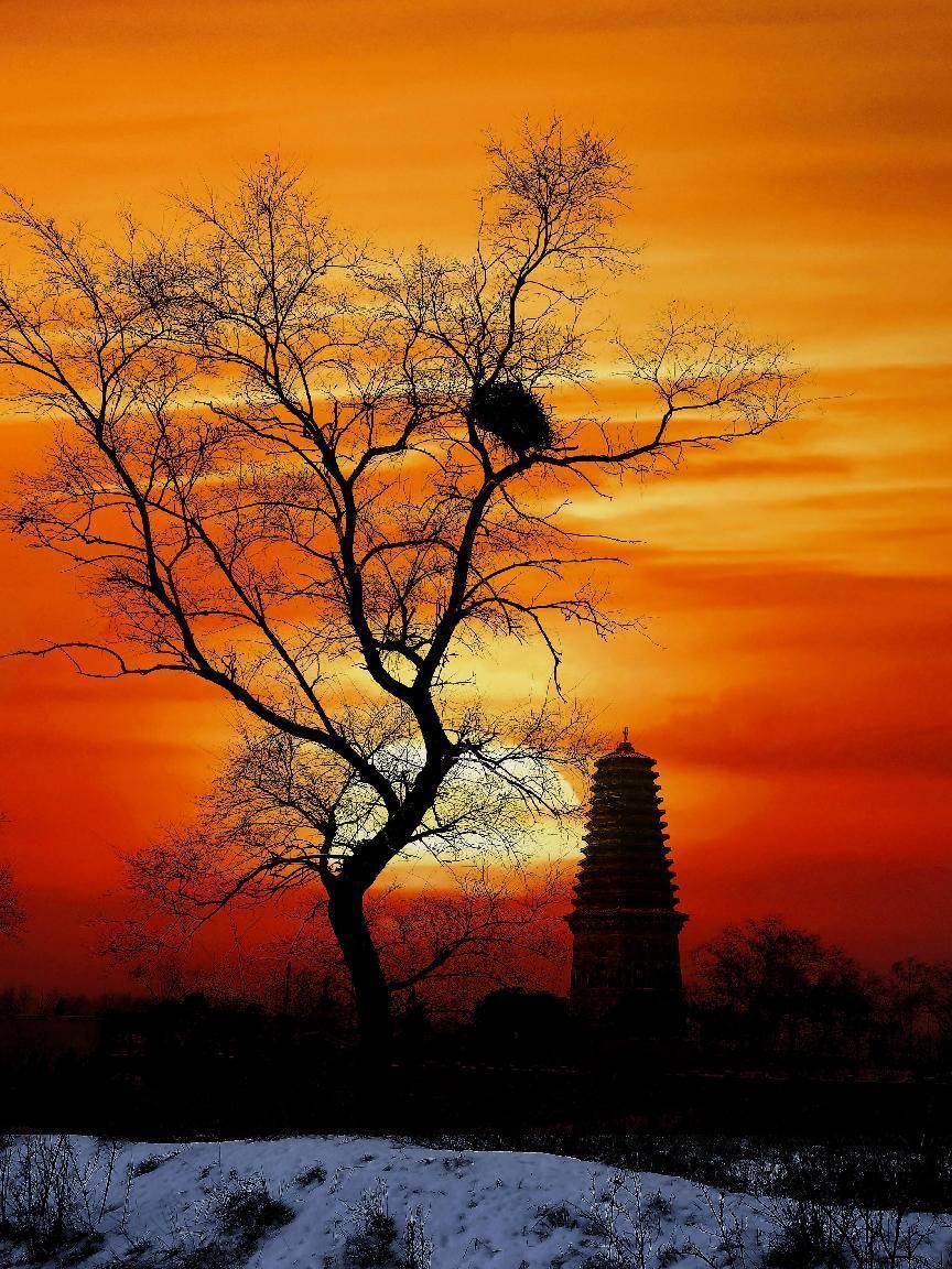 《古塔夕阳》王俊华