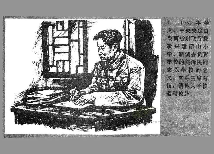 640 (9) 640 (9).jpg?v=1763637639447