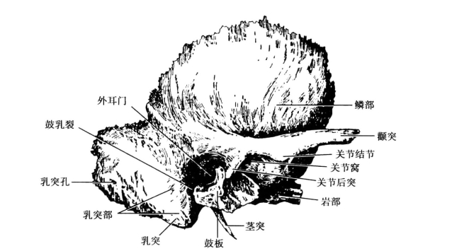 pagenumber_ebook=65,pagenumber_book=56