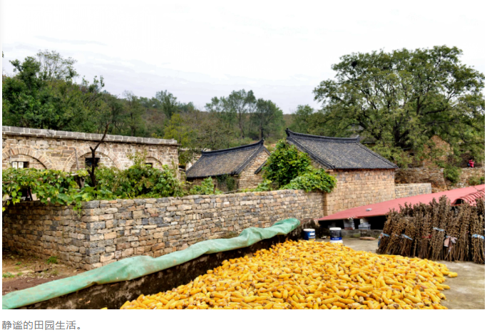 197b61b1ed63a958a770cc226dede39f 197b61b1ed63a958a770cc226dede39fpng