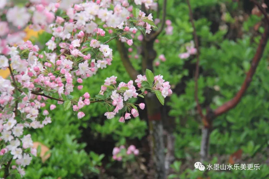 微信图片_20210404213941 微信图片_20210404213941.jpg