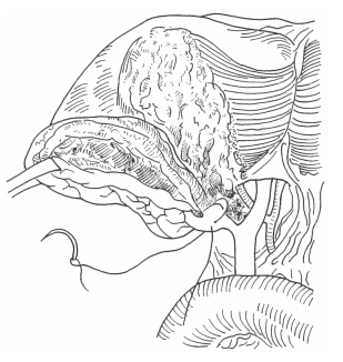 pagenumber_ebook=293,pagenumber_book=285